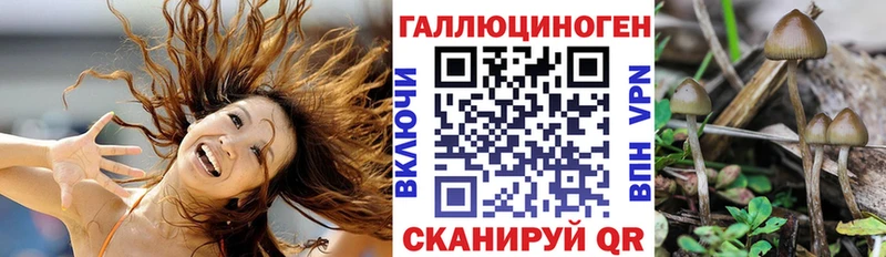 Галлюциногенные грибы мухоморы  Волгоград 